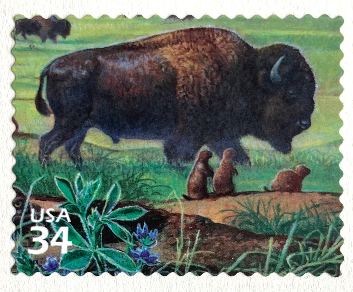 10 Buffalo Stamps Vintage Unused American Bison Postage Stamps for Mai