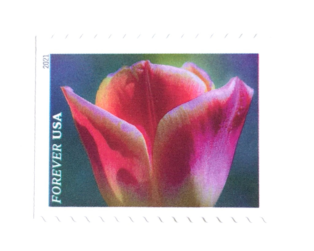 10 Forever Tulip Stamps Unused Vintage Pink Tulips Postage Spring Jewe Edelweiss Post