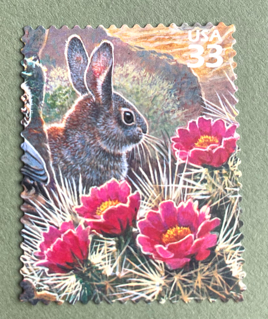 Forever Rabbit Stamp 10 Bunny Rabbit Stamps Vintage Desert Cottontail Postage Stamps For Ma ...