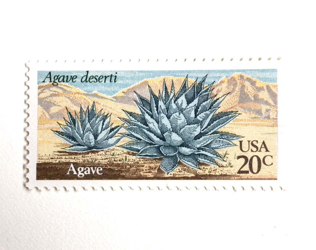 succulent forever stamps 10 Agave Postage Stamps Unused Vintage Desert Blue Cactus Stamps for Mailing