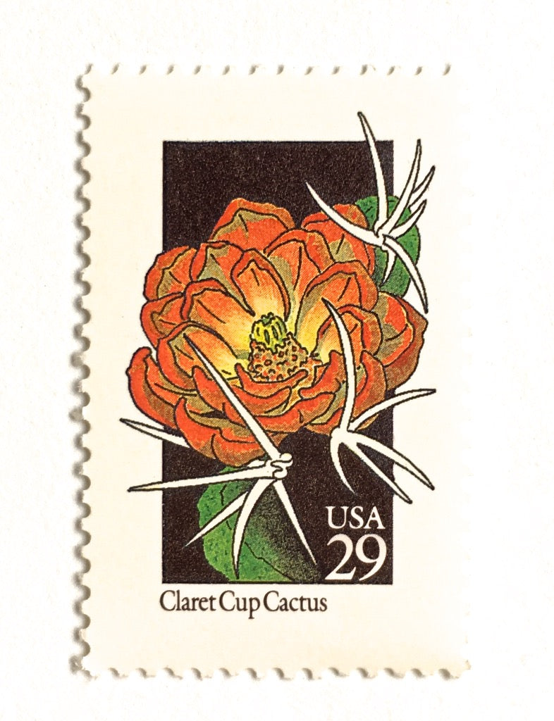 succulent stamps 10 Vintage Cactus Flower Postage Stamps Southwestern Desert Cacti Flowers Unused 29 Cent Succulent Stamps for Mailing