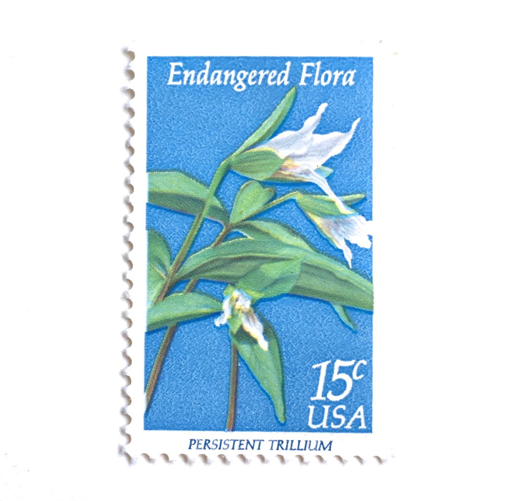 10 Blue and White Flower Forever Stamps Unused Stamps For Mailing