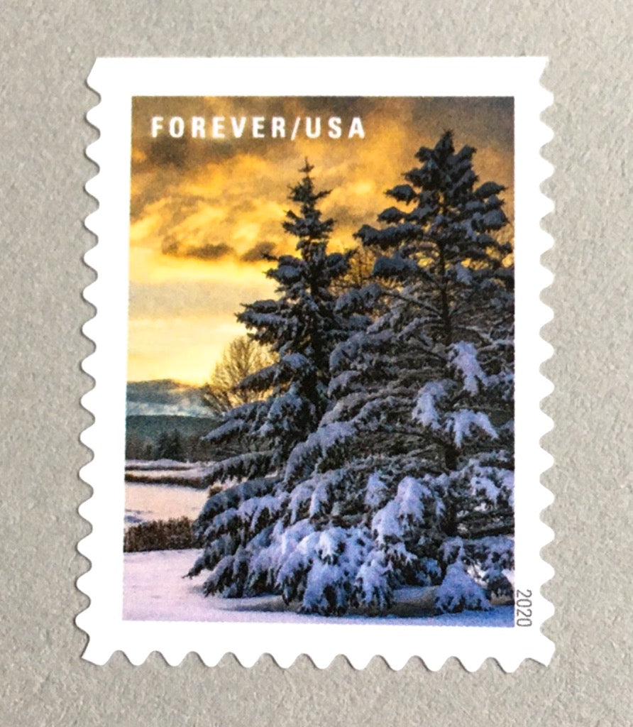10 Evergreen Forever Stamps for Mailing Winter Pine Tree Forever Stamps For  Mailing Holiday Cards or Wedding Invitations