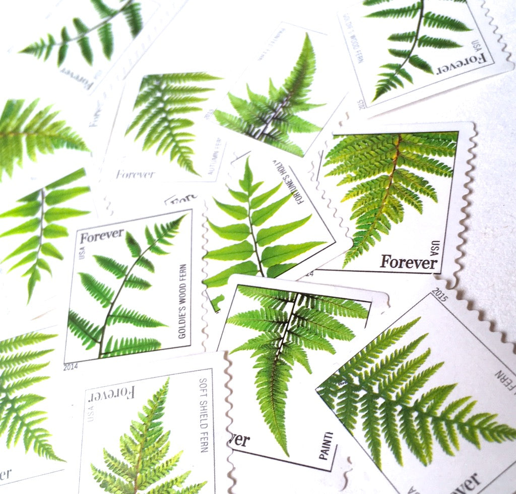 succulent forever stamps USPS Ferns Forever Stamps