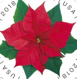 10 Poinsettia Stamps Unused Global Christmas Forever Stamps for Mailin –  Edelweiss Post