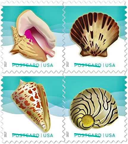 12 Seashell Stamps Nautical Sea Shell 61 Postage Stamps for Mailing ...