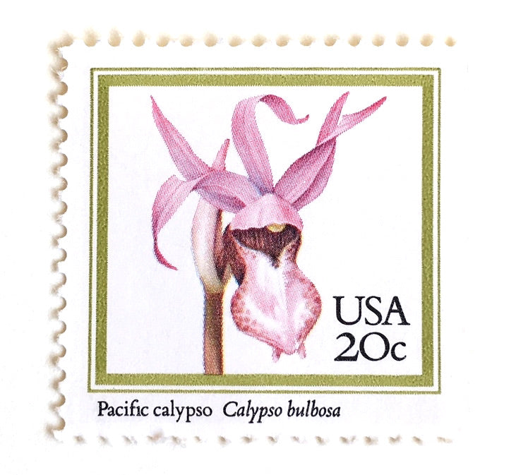 10 Vintage Pink Flower Stamps Unused Orchid Postage for Mailing ...