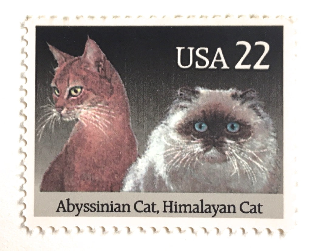 12 Vintage Cat Stamps Pet Cats Unused Vintage Kitty Postage Stamps for  Mailing