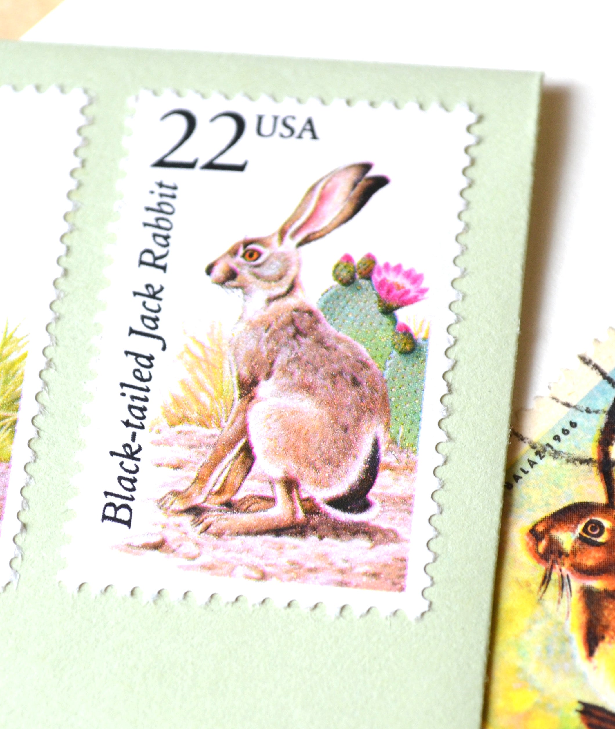 10 Rabbit Stamps Unused Vintage Jack Rabbit Postage For Mailing ...