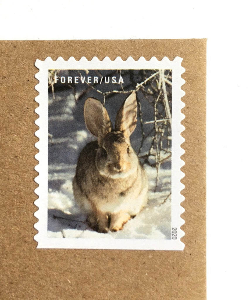 10 Bunny Forever Stamps Rabbit Postage Unused Stamps For Mailing ...