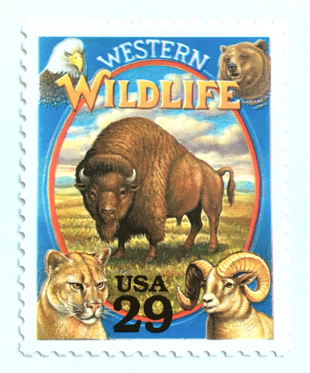 10-buffalo-postage-stamps-vintage-unused-american-bison-stamps-for-mai