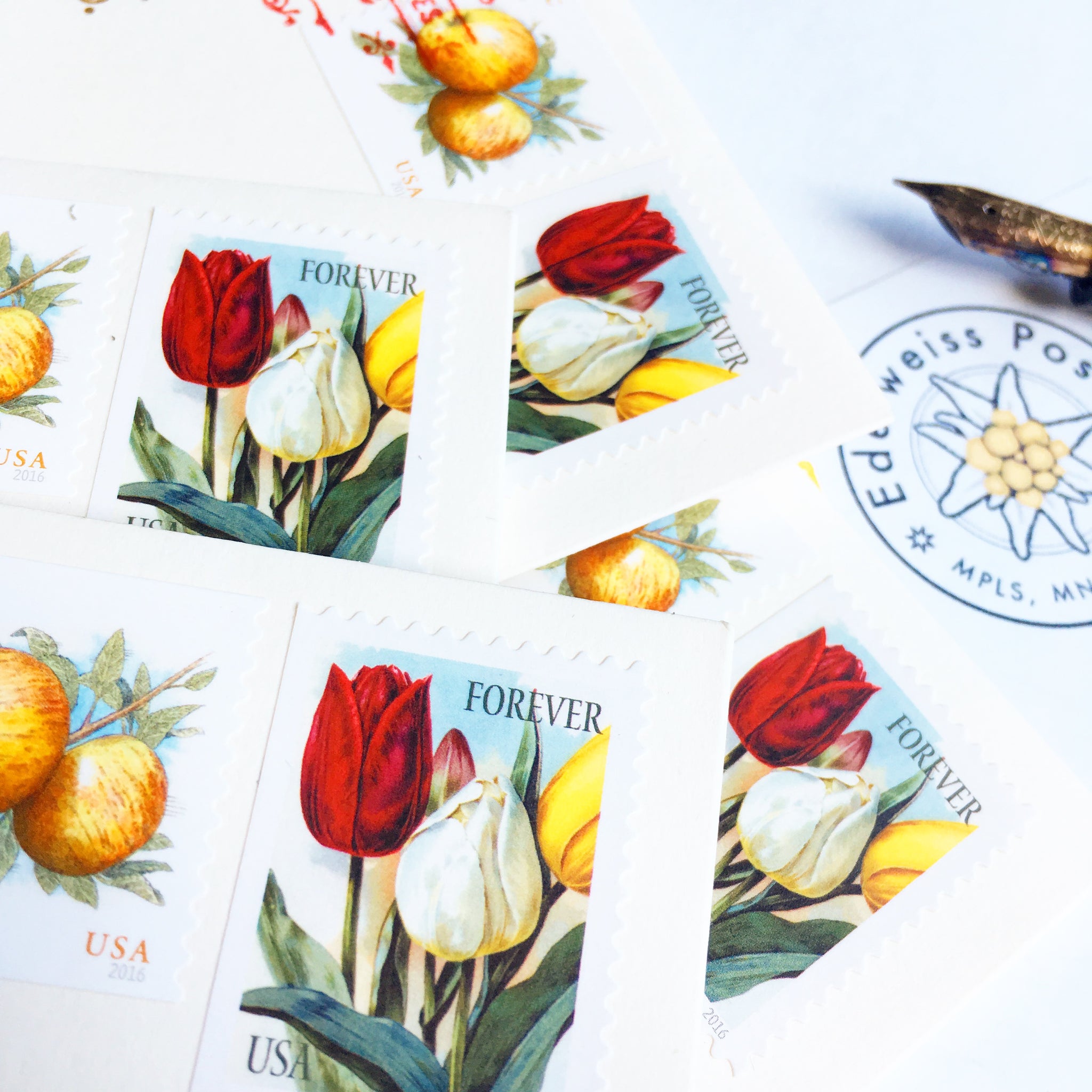 10 Forever Tulip Stamps Unused Vintage Print Tulips Postage Spring  display picture 1